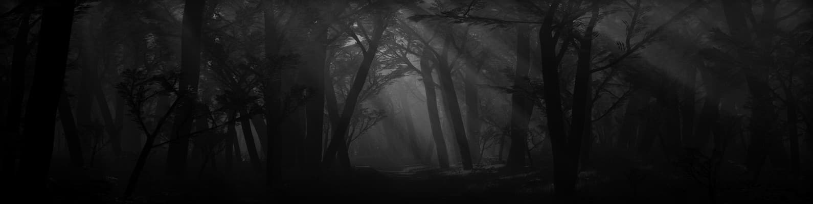 User profile banner