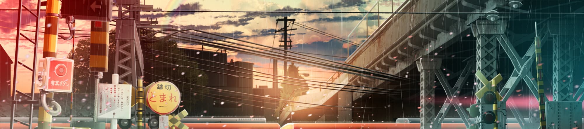 User profile banner