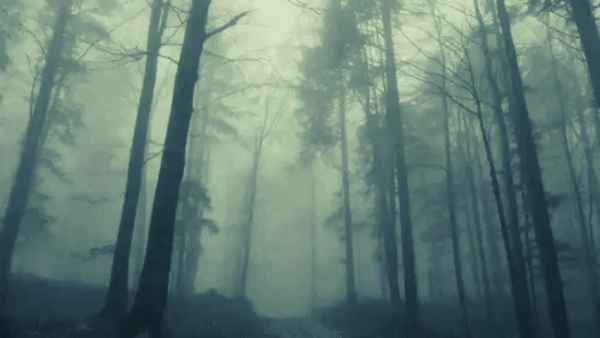 User profile banner