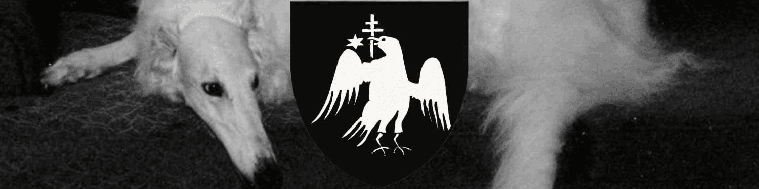 User profile banner
