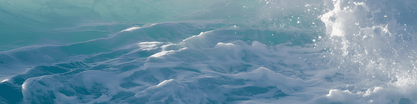 User profile banner
