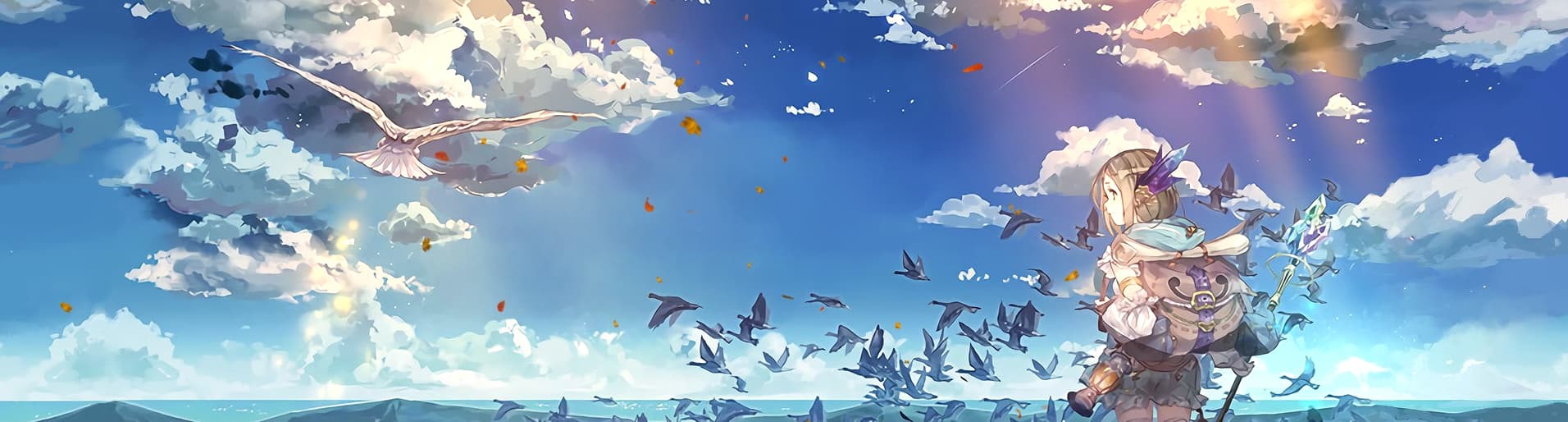User profile banner