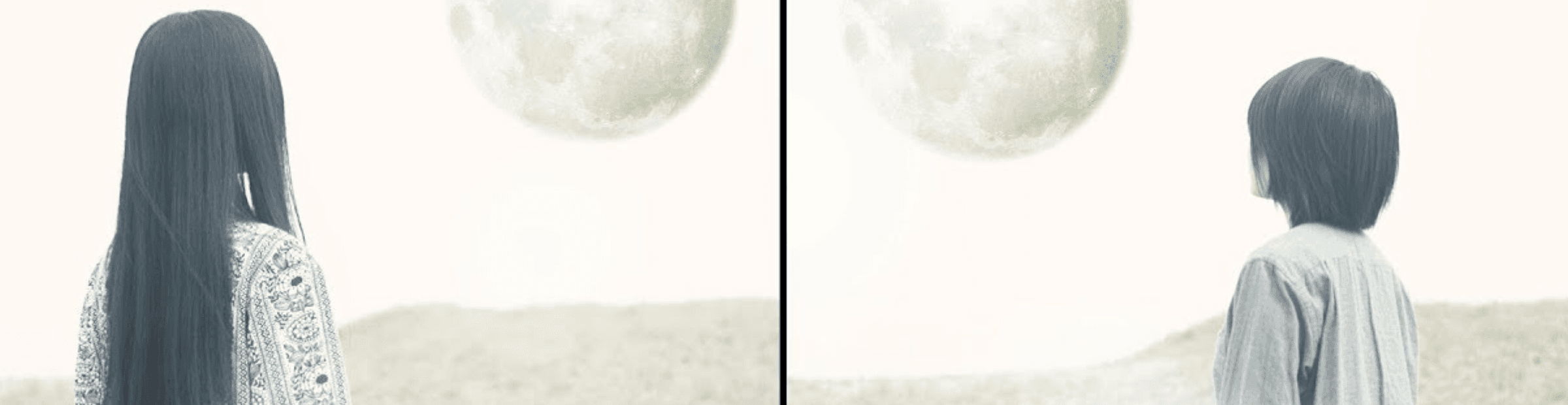 User profile banner