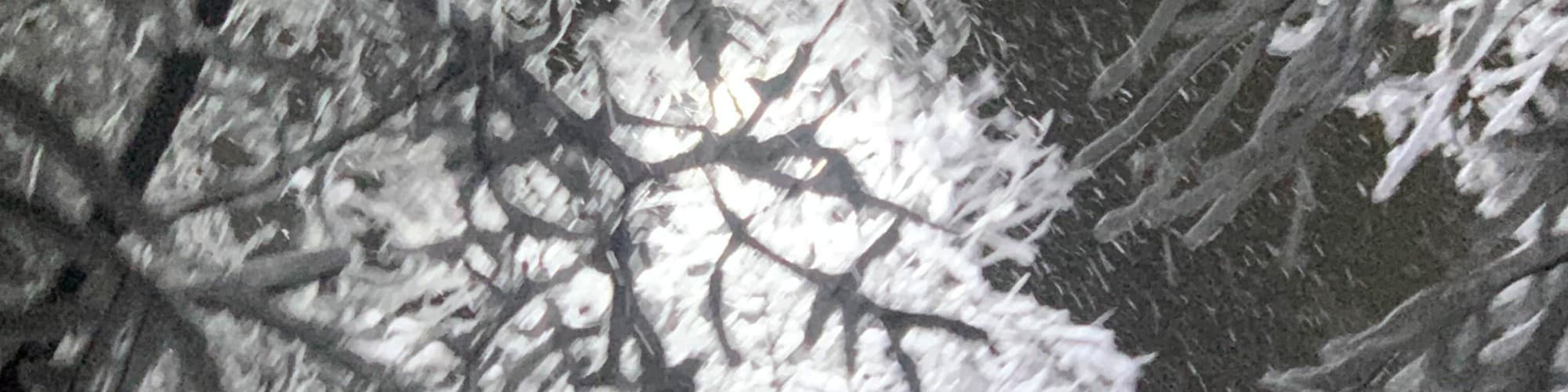 User profile banner