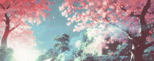 User profile banner