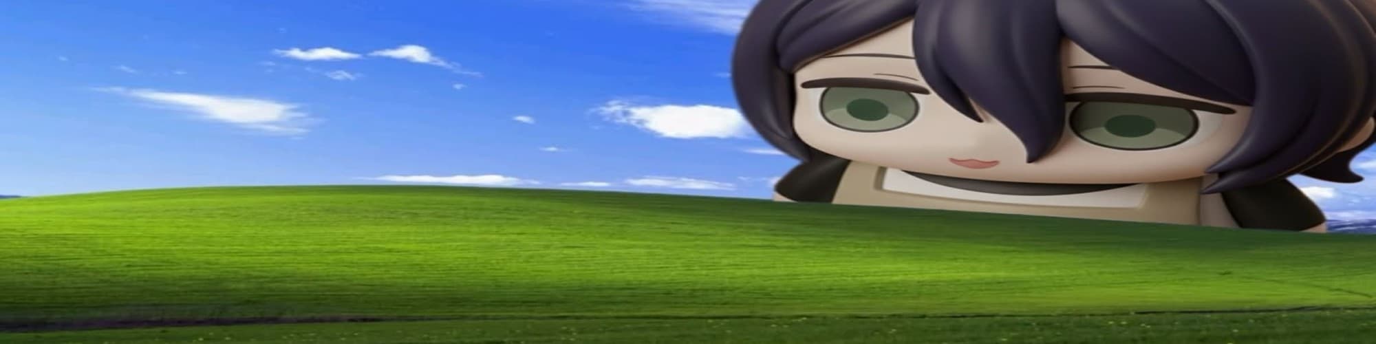 User profile banner