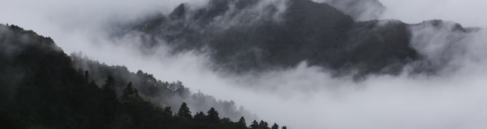 User profile banner
