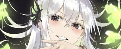User profile banner