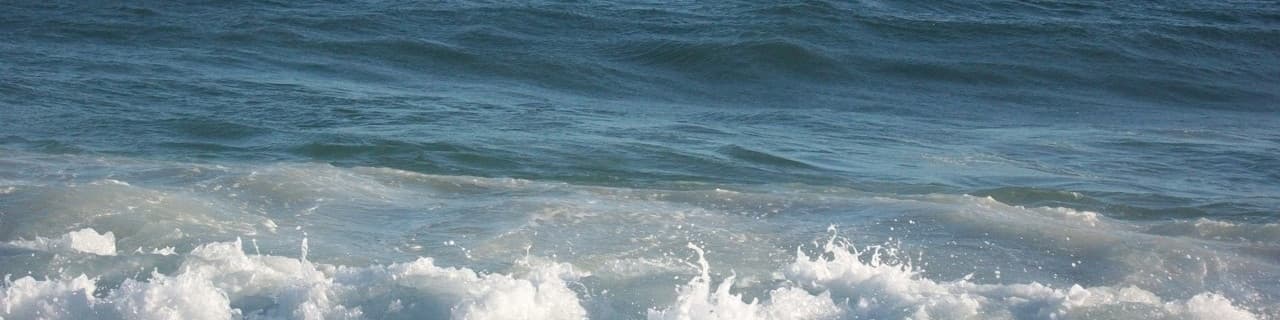 User profile banner