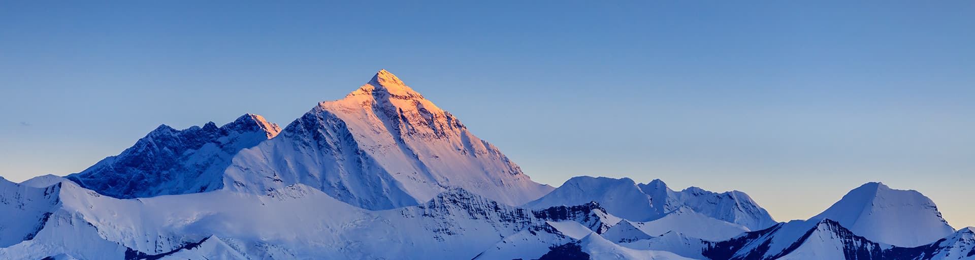 User profile banner