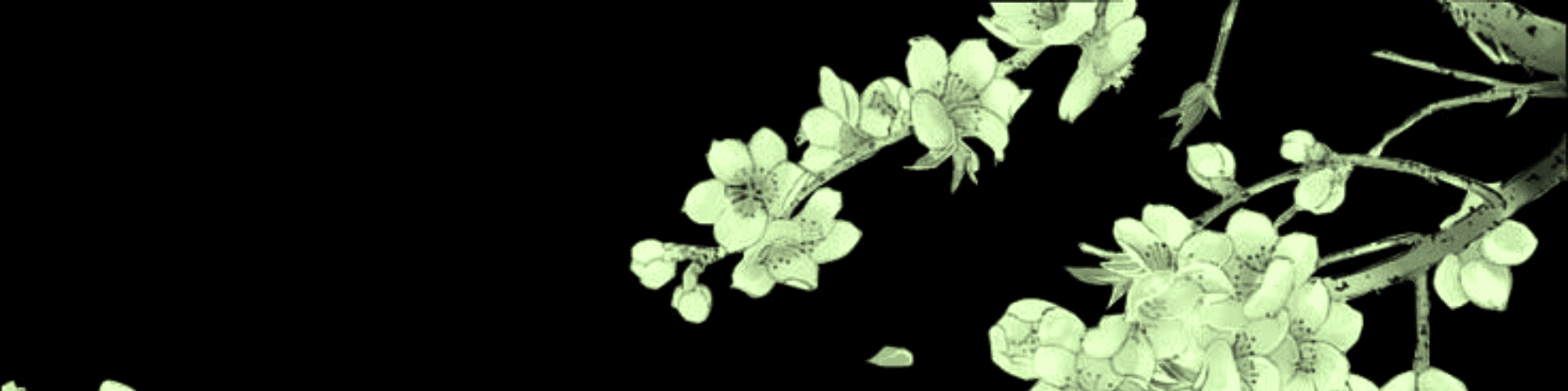 User profile banner