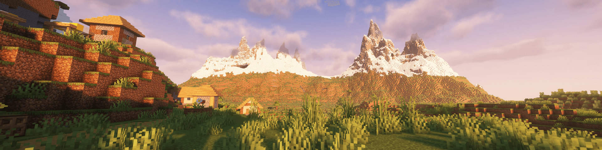 User profile banner