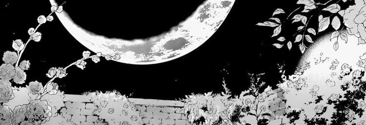 User profile banner