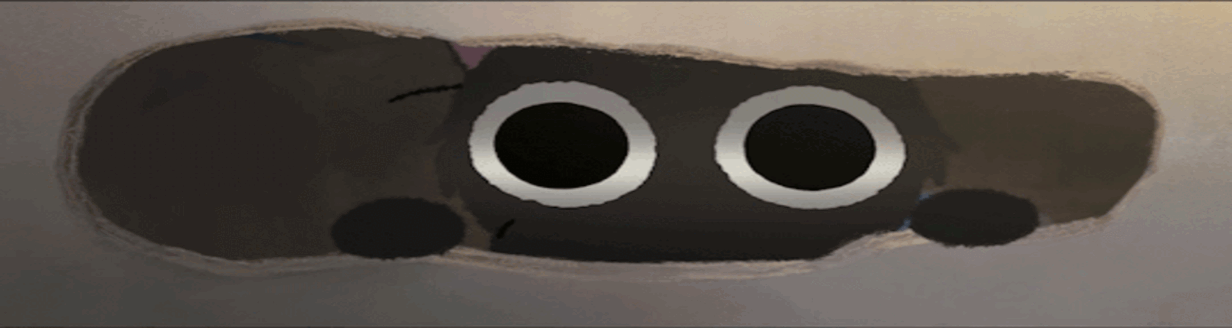 User profile banner