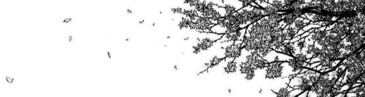 User profile banner
