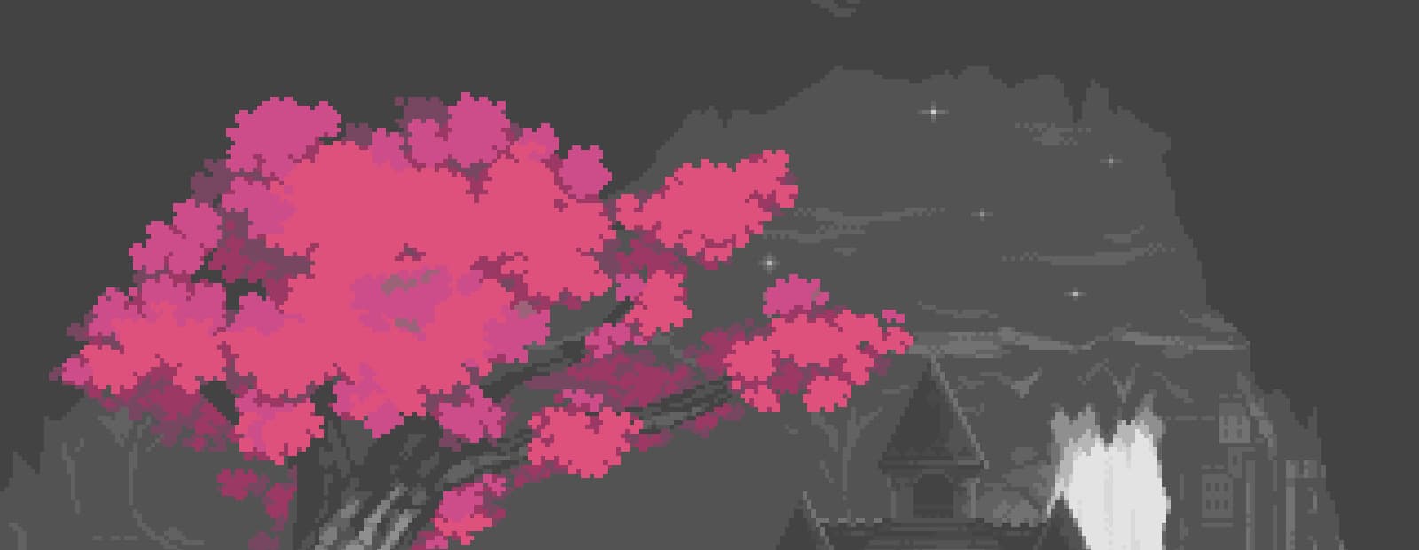 User profile banner