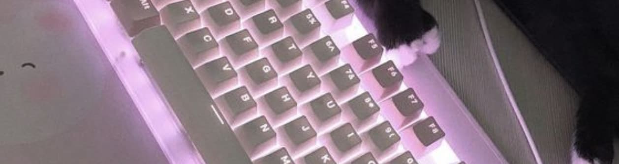 User profile banner