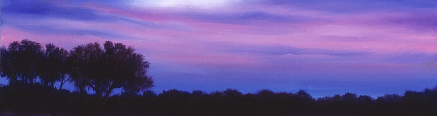 User profile banner