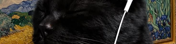 User profile banner