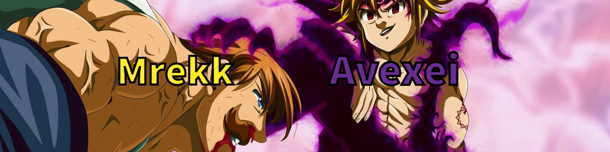 User profile banner