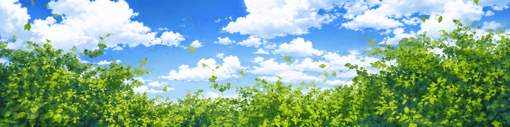User profile banner