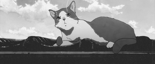 User profile banner