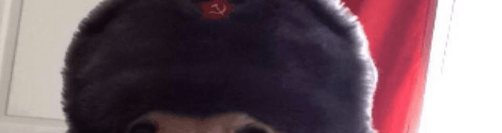 User profile banner