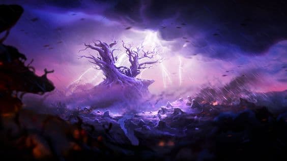User profile banner