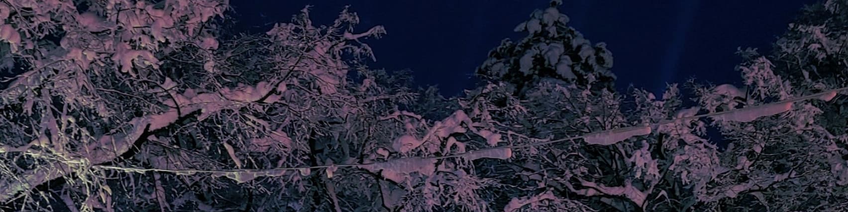 User profile banner
