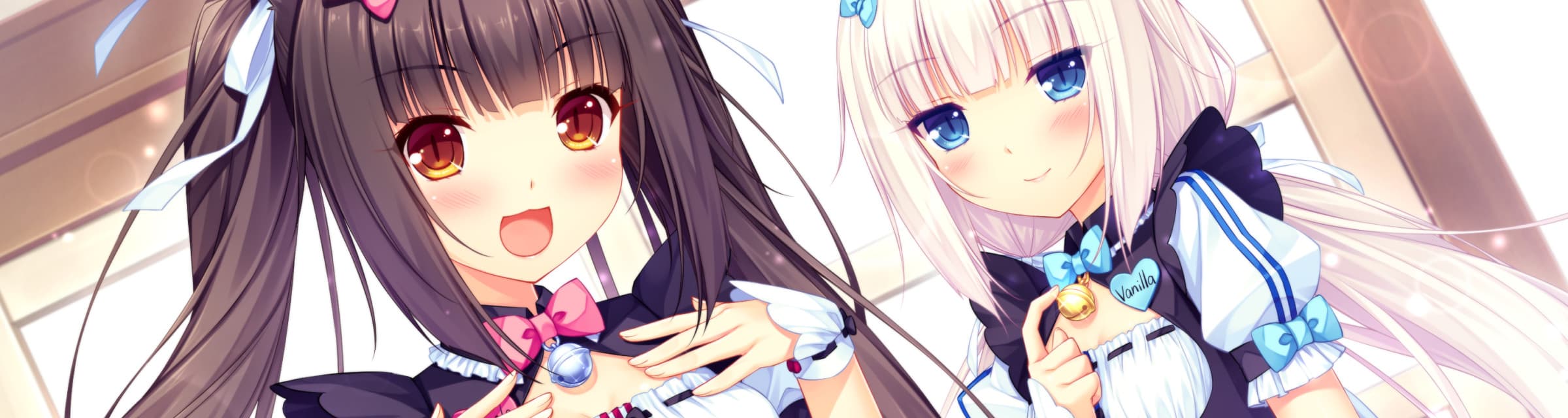 User profile banner