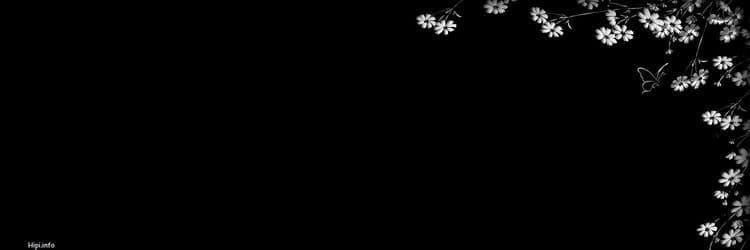 User profile banner