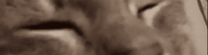 User profile banner