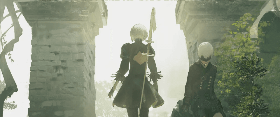 User profile banner