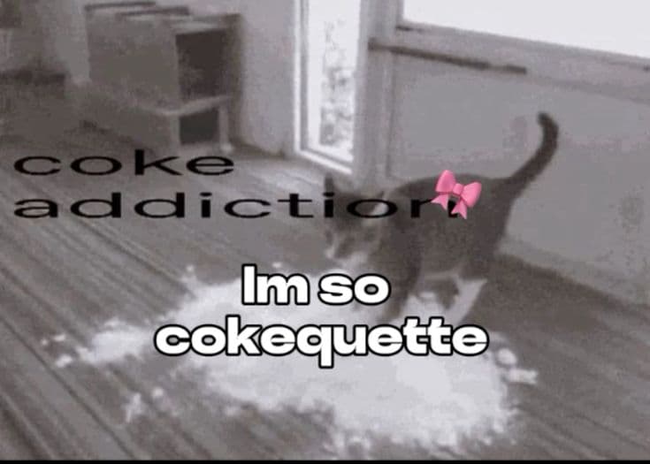 User profile banner