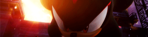 User profile banner