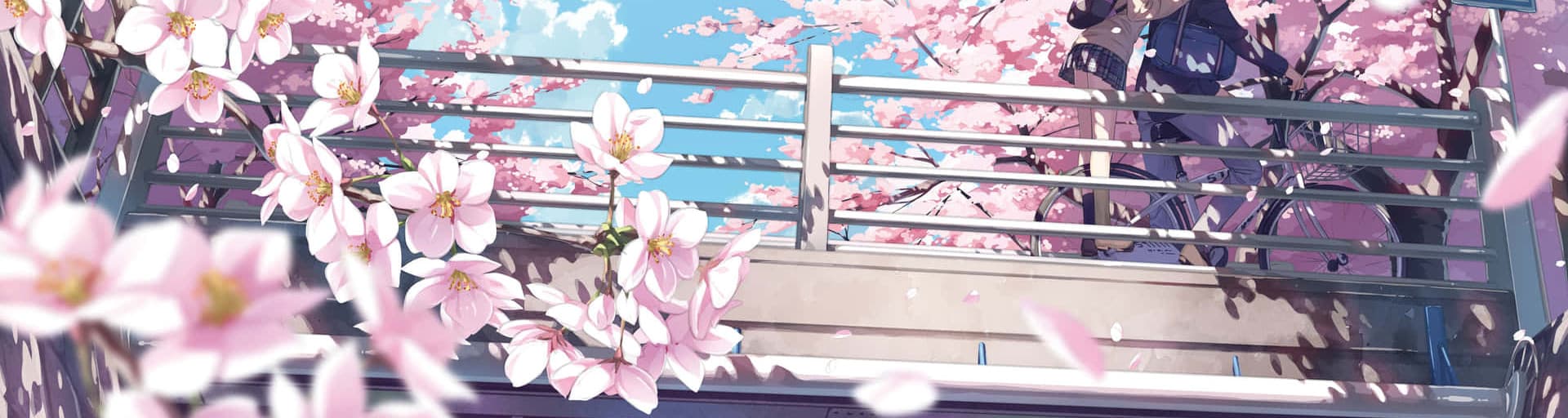 User profile banner