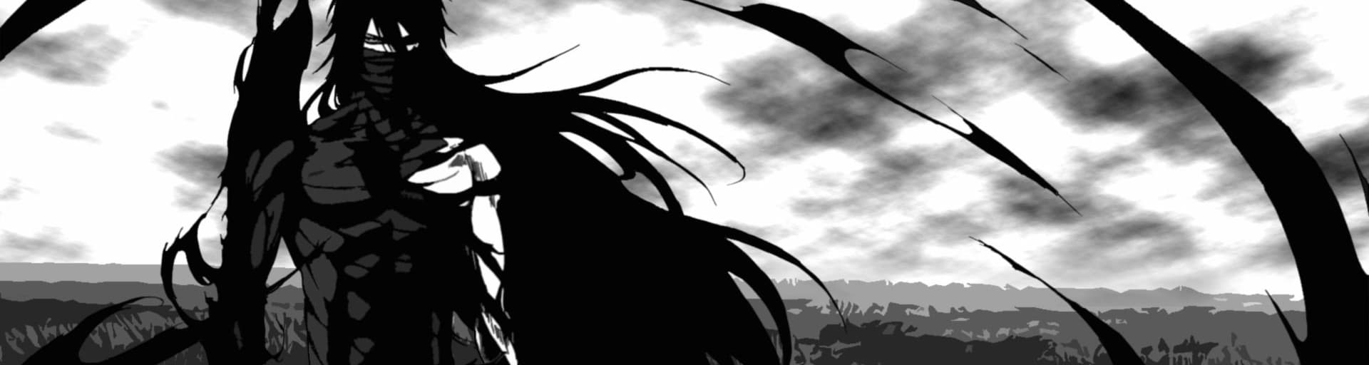 User profile banner