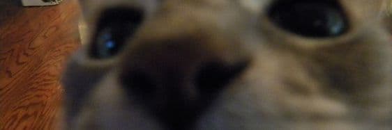 User profile banner