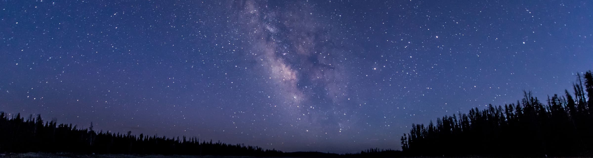 User profile banner