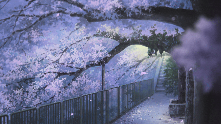 User profile banner