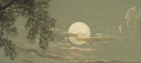 User profile banner
