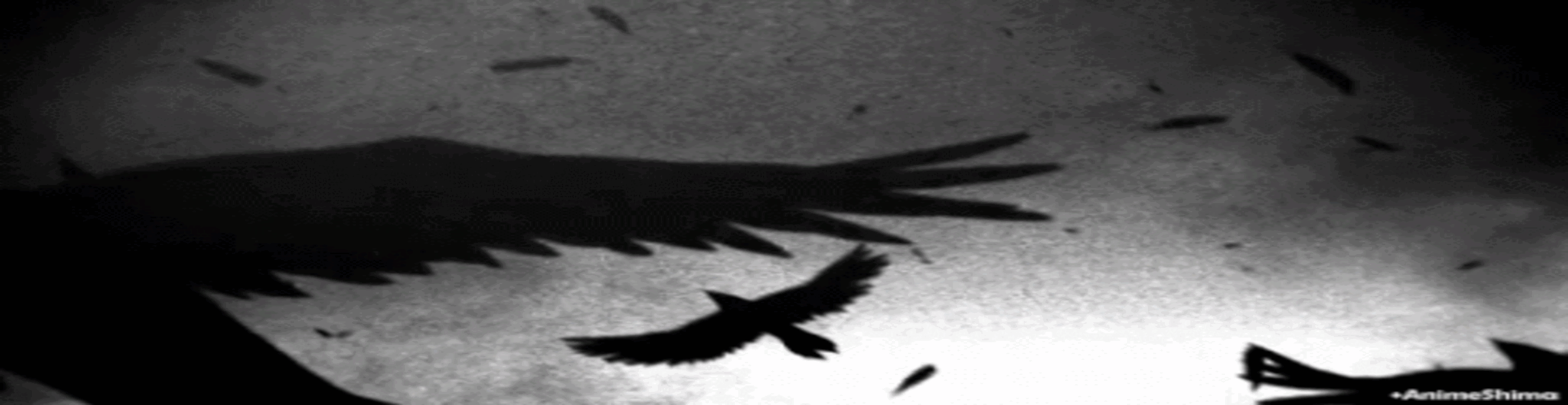 User profile banner