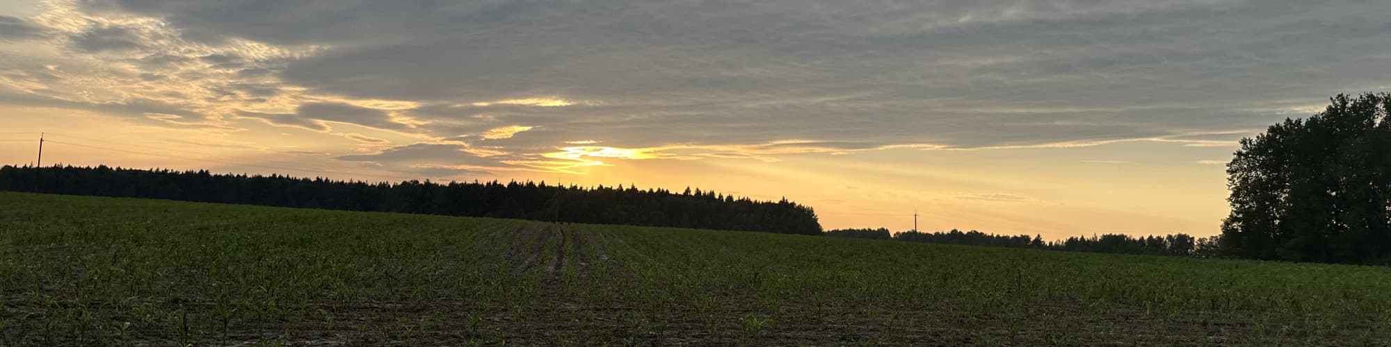 User profile banner