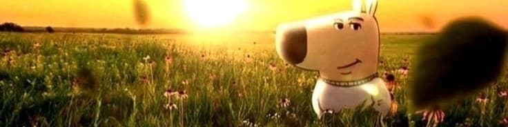 User profile banner