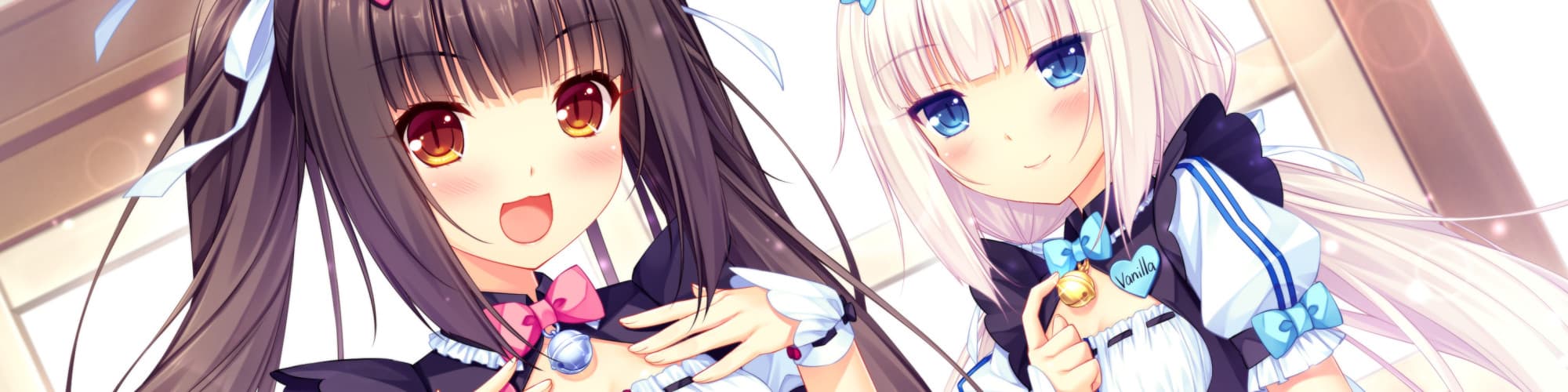 User profile banner
