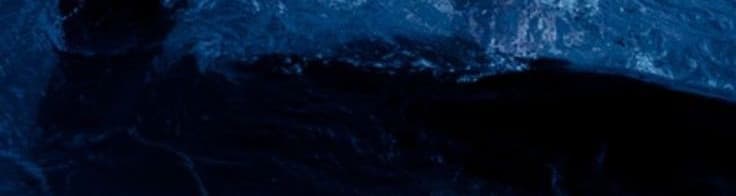 User profile banner