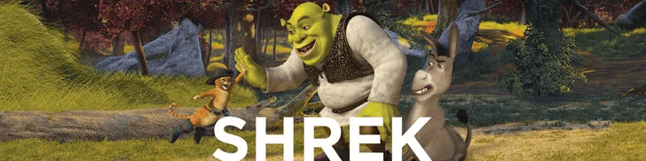 User profile banner