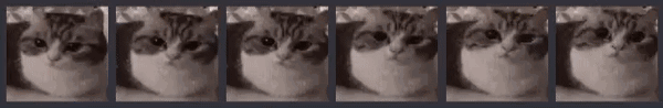 User profile banner