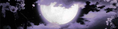 User profile banner