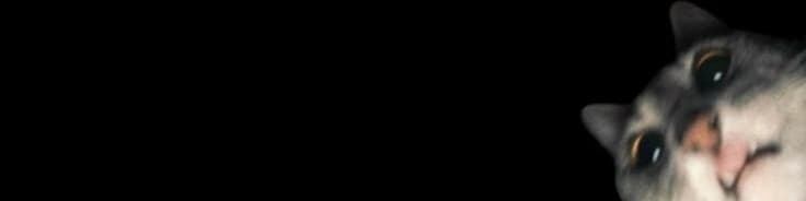 User profile banner